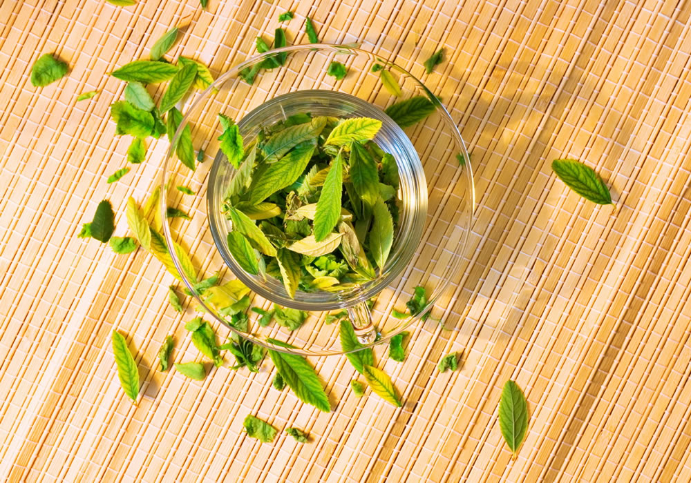 緑茶の成分と効能